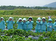 5月の行事